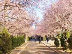 -山东师范大学(千佛山校区)
