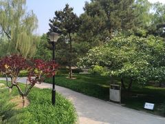 -玲珑塔公园