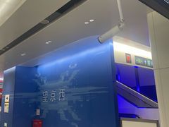 -望京西(地铁站)