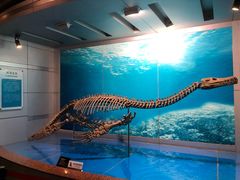 -自贡恐龙博物馆