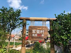 -军营村