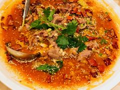 -培万河间驴火•驴肉火锅(东平店)