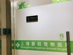 -爱侣宠医·鹦鹉专科·小型哺乳类·异宠专科(灵石路店)