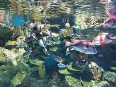 -海合安成都极地海洋公园