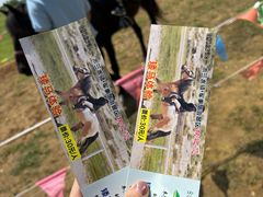 -木兰水镇旅游景区