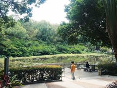 -云溪植物园