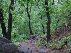 -阳台山自然风景区