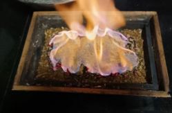 -升艾堂亚健康调理中心