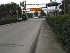 -金山农民画村-枫泾波兰倒置屋