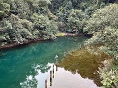 -鼎湖山风景区
