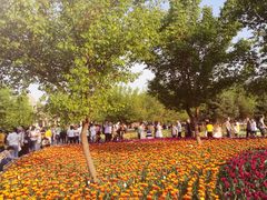 -长春公园(普阳街道)