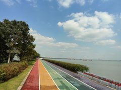 -贡湖湾湿地公园