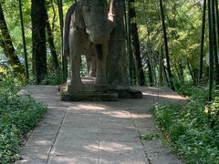 -紫金山山顶公园