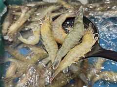 -初色海鲜自助(万丰路店)