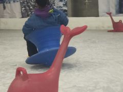 -赤马湖体育滑雪