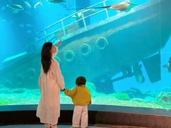 -福州罗源湾海洋世界旅游区