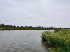 -春花秋色城市公园