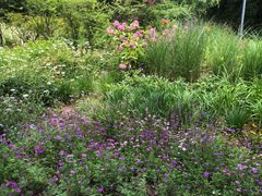 -西湖风景区-江洋畈生态公园