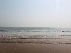 -日照海滨国家森林公园