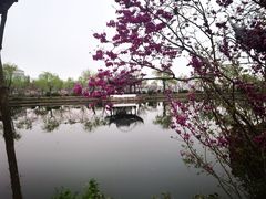 -无锡蠡湖国家湿地公园-蠡园