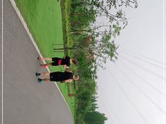 -昆山城市生态森林公园