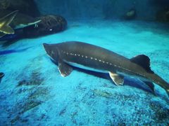 -多彩贵州城极地海洋世界