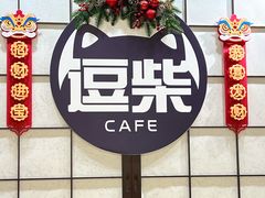 -逗柴咖啡屋·狗咖猫咖宠物桌游