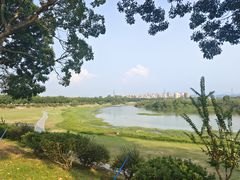 -风云岭森林公园