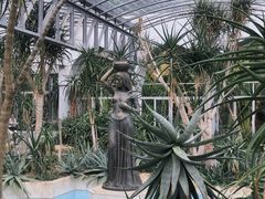 -深圳仙湖植物园