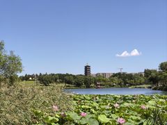 -长春北湖公园
