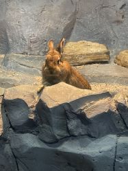 -Zoolung Zoolung动物主题公园(海信广场店)