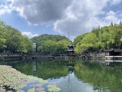 -忠山公园