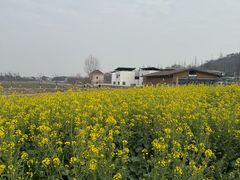 -南北湖风景区