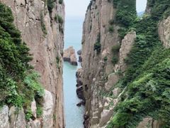 -日照海滨国家森林公园