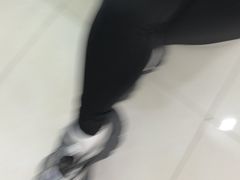 -翊宠yipet猫狗购宠庄园犬舍•猫舍