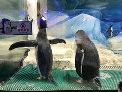 -台州海洋世界