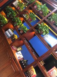 -东晨宝格丽品质造型