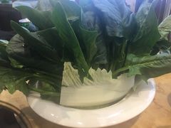-南来顺饭庄·清真(南菜园店)