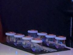 -星聚会KTV(合生汇黑金店)