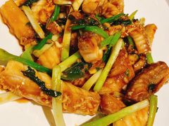 姜葱炒脆肉鲩鱼腩-香山家宴