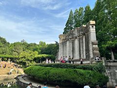 -音乐台