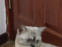 -山城巷传统风貌区