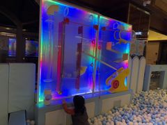 -童趣廊·儿童波波池·海洋球(长隆横琴湾酒店)