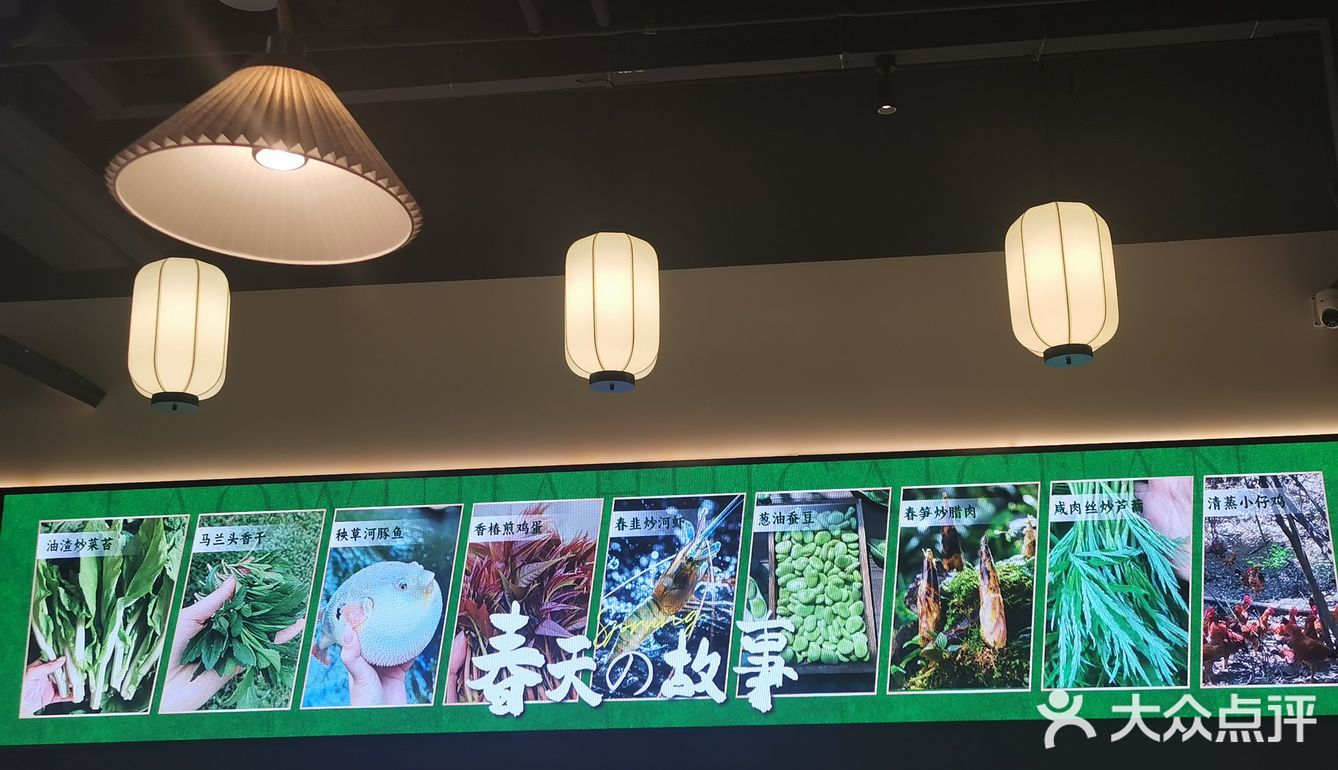 春天的时令野菜真鲜美，你最爱哪一款呢？