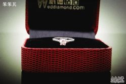 _DSC1693_副本-威德钻石-克拉钻大本营(南京东路店)