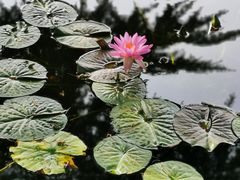 -国家植物园南园