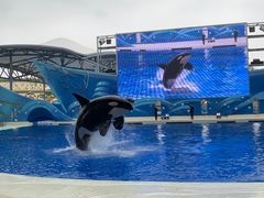 -上海海昌海洋公园