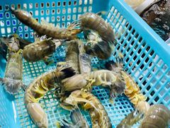 -霞涌市场海鲜摆卖区