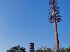 -红花山公园