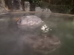 -天目湖涵田半山温泉